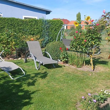 Ferienwohnung Leitzsch Wustrow  Extérieur photo