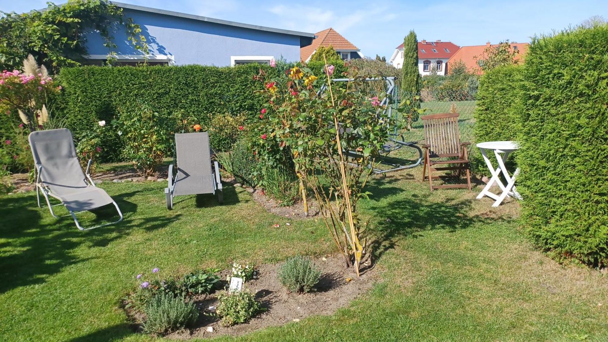 Ferienwohnung Leitzsch Wustrow  Extérieur photo